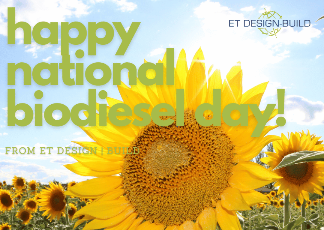 national biodiesel day sunflower